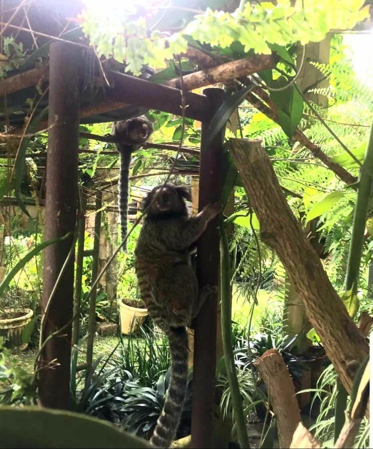Pousada Canto Das Corujas Sao Roque  Bagian luar foto