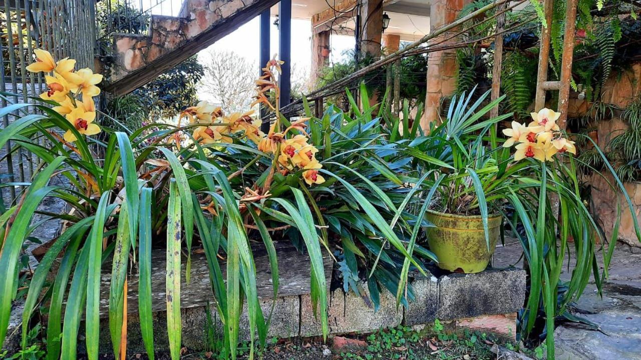 Pousada Canto Das Corujas Sao Roque  Bagian luar foto